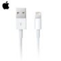 APPLE Câble original USB-A vers Lightning 1m Blanc _ MXLY2ZM/A